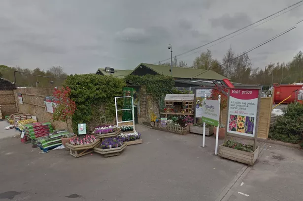 Uxbridge Wyevale closure: Where is your nearest garden centre as doors set to close on popular shop?