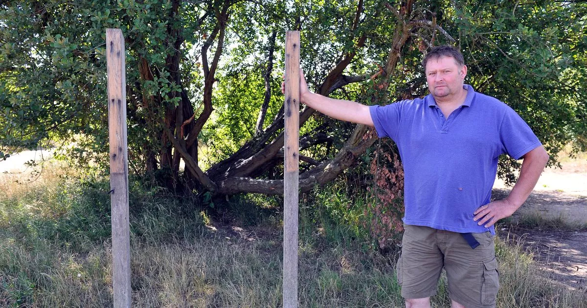 Hounslow Heath nature reserve 'being run down and ignored'