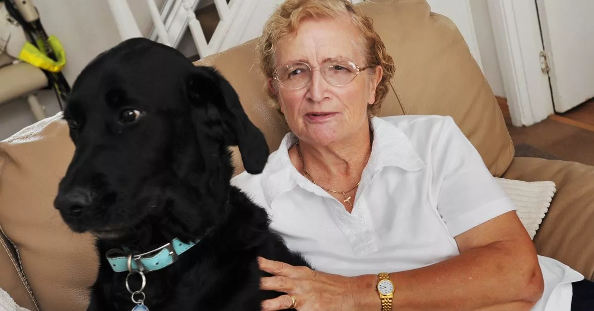 Blind woman and guide dog attacked in Hayes town